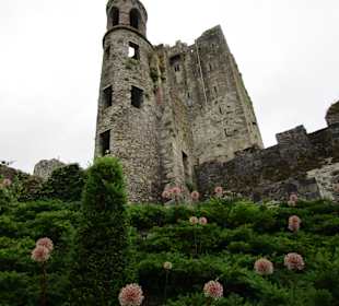 Blarney Castle