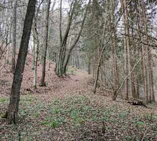 Durch den Wald