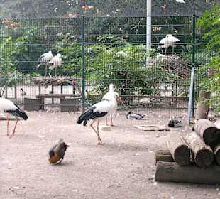 Straßburg Orangerie