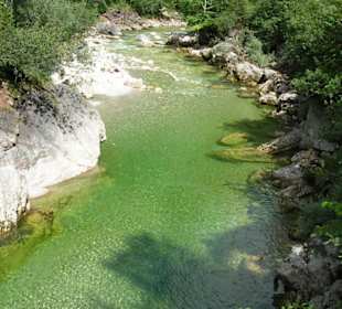 Natürlicher Pool