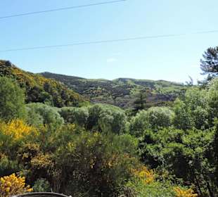 Mit der Taieri Railway durch die Natur Neuselands
