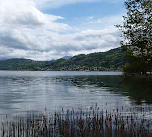Am Wörther See