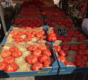 Alles sauber präsentiert