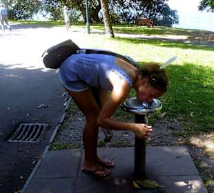 Royal Botanic Gardens