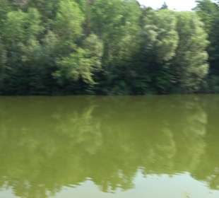 Sulzbachstausee