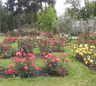 Stare miasto Tbilisi