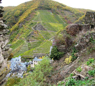 Blick auf Beilstein und die Weinberge