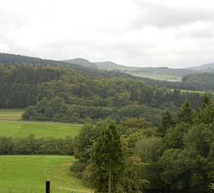Aussicht Wildpark während der Fahrt