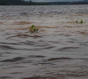 Meeting of the Waters, Amazonas Rio Negro