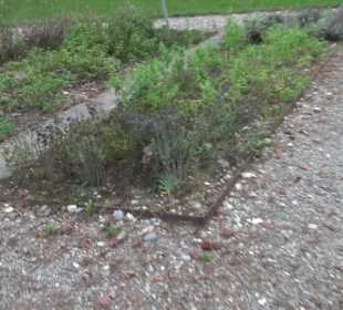 Geistliches Zentrum Kloster Heiligkreuztal Altheim