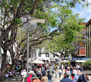 Impressionen aus der Altstadt von Funchal