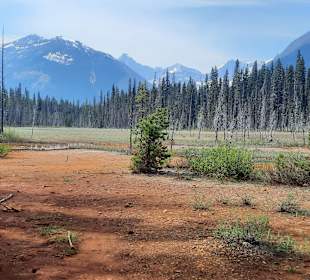 ....und der Erde dort....