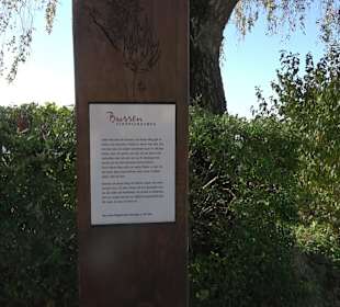 Bussen Schöpfungsweg Offingen