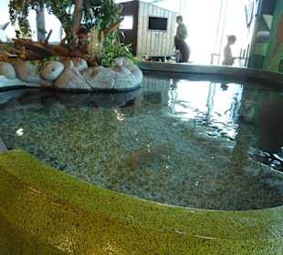 Becken im Ausgangsbereich