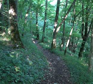 Burgruine Andeck Talheim