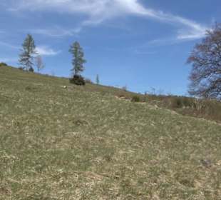 Naturreservat Beutenlay