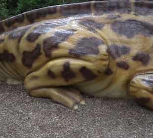 Dinosaurier Museum Altmühltal