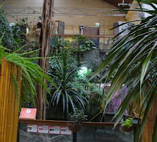 Zwierzęta w zoo