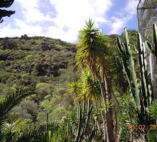 Palmitos Park