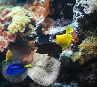 Zoo Warszawa