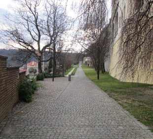 Garten vom Hradschin