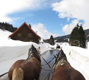 Schlittenfahrt im Allgäu