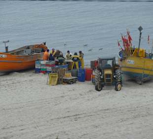 Am Strand