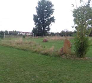 Soccerpark Dirmstein in Dirmstein