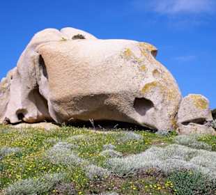 In den Granitfelsen des Capo Testa
