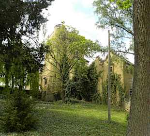 Die Roseburg durch Bäume sichtbar