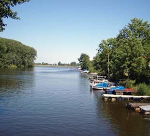 Ein Rundgang durch die "Rosenstadt" im Sommer 