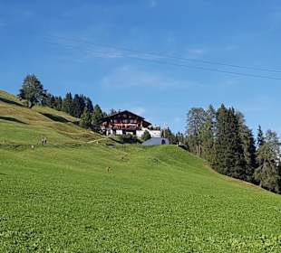 Blick auf die Strelaalp