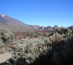 Teide