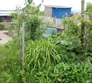 Spaziergang entlang der Schrebergarten-Kolonie