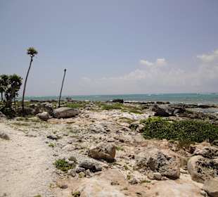 Akumal