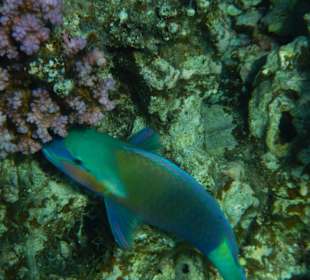 Hotel La Residence des Cascades