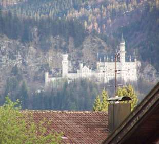 Zimmeraussicht