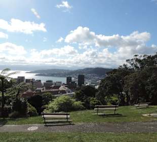 Im Botanischem Garten