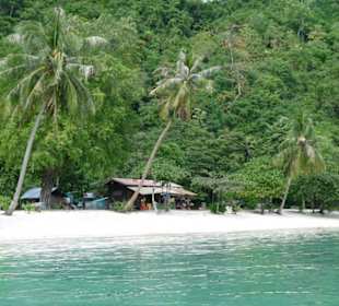 Strandabschnitt im NP