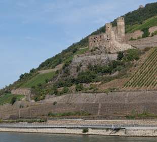 Wandern Flörsheim-Dalsheim