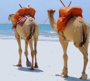 Diani Beach