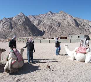 Quad-Safari Hurghada