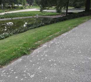 Alter Botanischer Garten