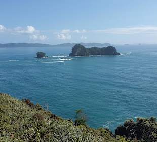 Nowa Zelandia