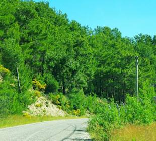 Anfahrt zum Staudamm von Side nach Manavgat