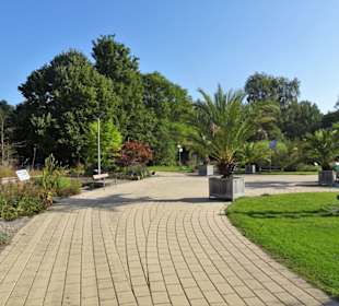 Rundgang durch den Botanischen Garten Kiel