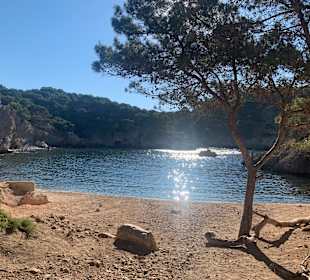 Bucht von Cala Fornells