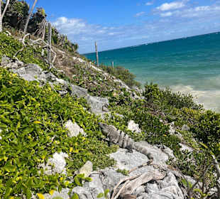 Impressionen Strandbereich von Tulum