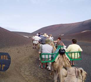 Lanzarote: Timanfaya Nationalpark