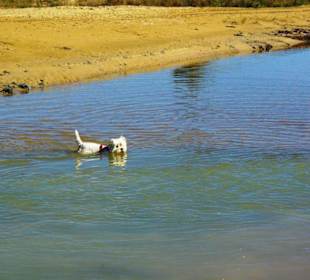 Ende September 2010 Inspirationen